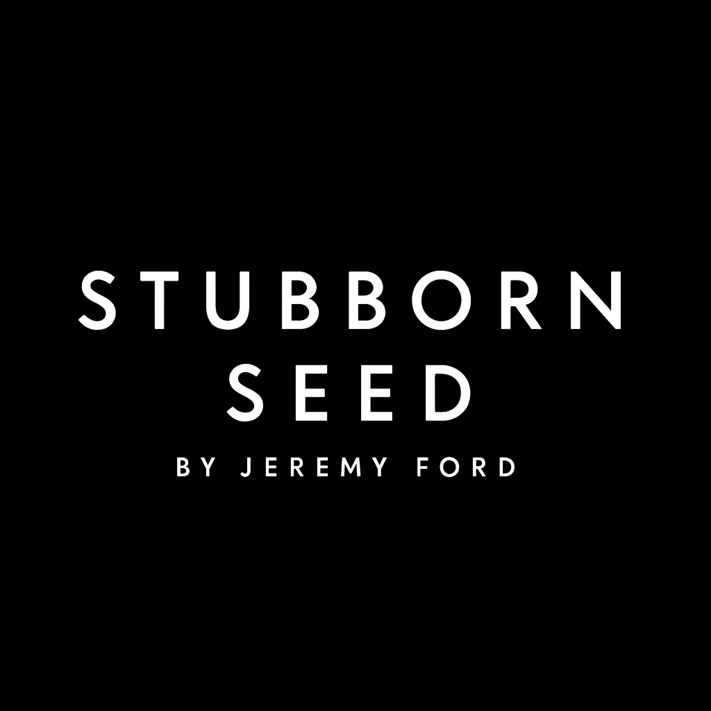 Stubborn Seed - Miami Beach