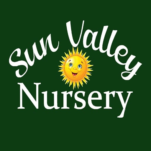 Sun Valley Nursery | Sun Valley Yard Consultation