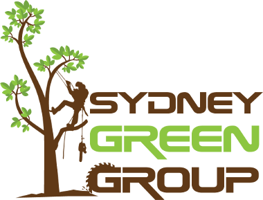 Stump Grinding Sydney - Sydney Green Group
