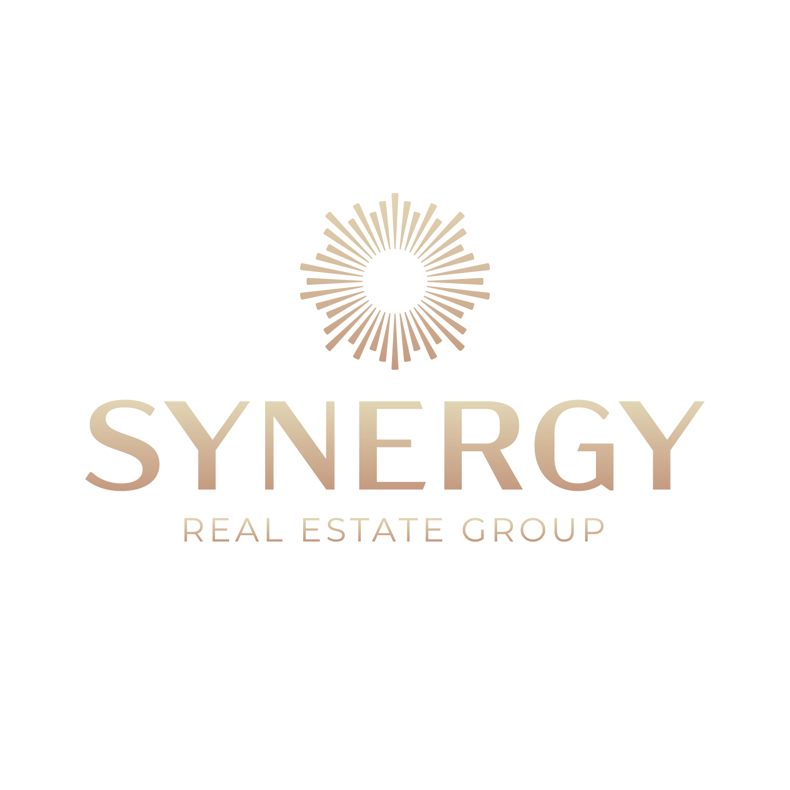Synergy Real Estate Group