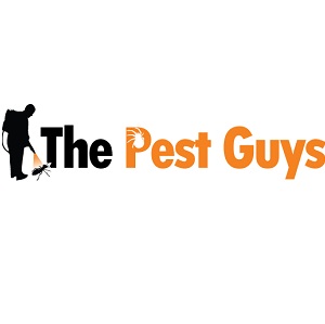 Lindsay Hollingsworth