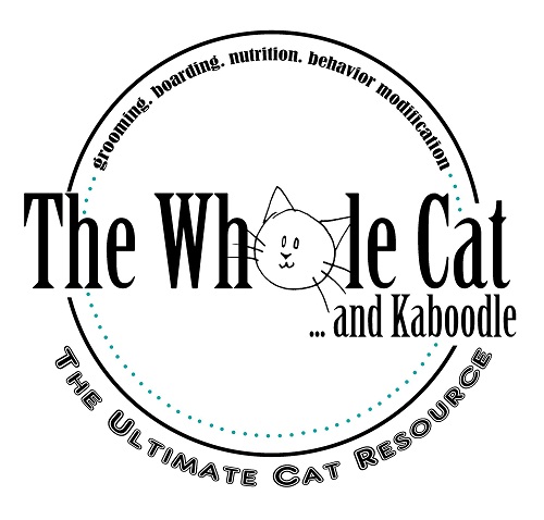 The Whole Cat and Kaboodle - Cafe Cocoa
