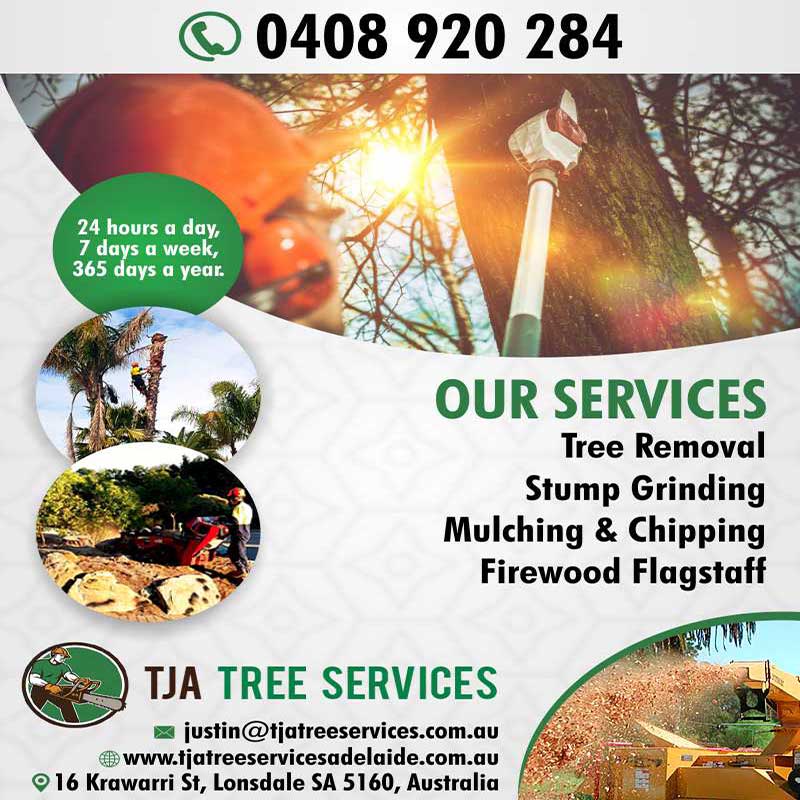 Tree Removal Adelaide | TJA Tree Services