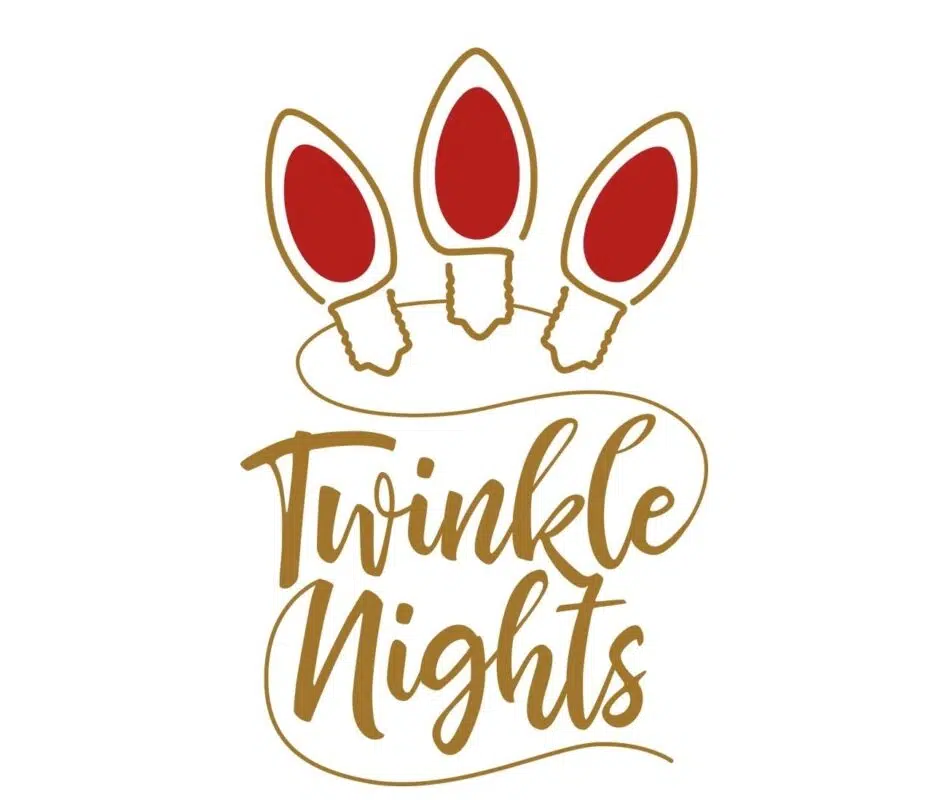 TwinkleNights1