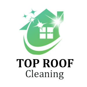 Top Roof Cleaning