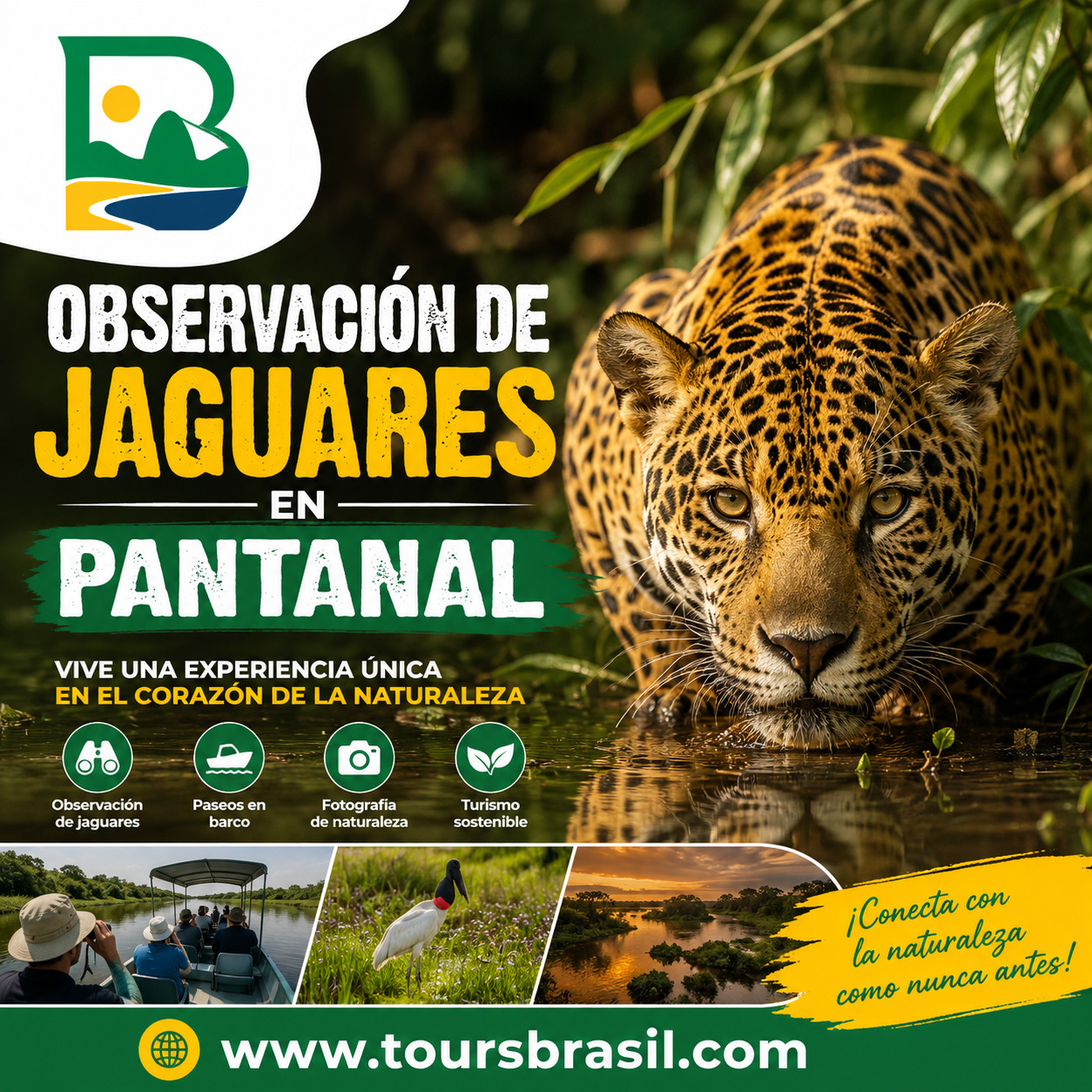 Explora la naturaleza salvaje con la observación de jaguares en Pantanal