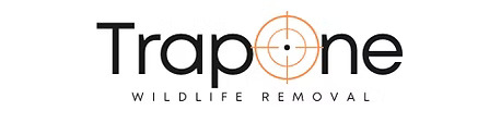 TrapOne Wildlife Removal