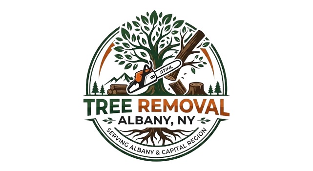 Tree Removal Albany NY