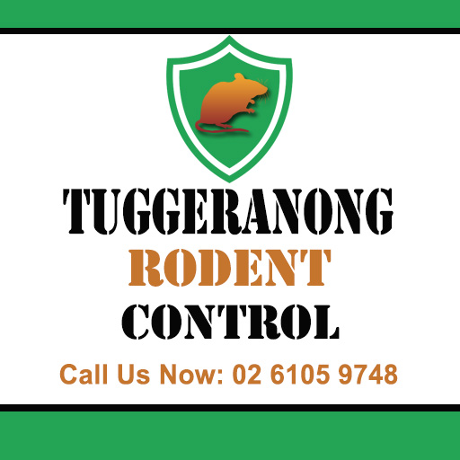 Tuggeranong Rodent Control