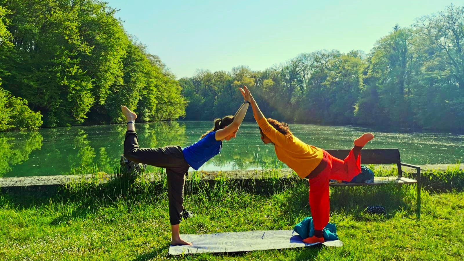 Yoga Teacher Training in Netherlands | Indian Classical Yoga