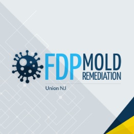 FDP Mold Remediation | Mold Remediation Union