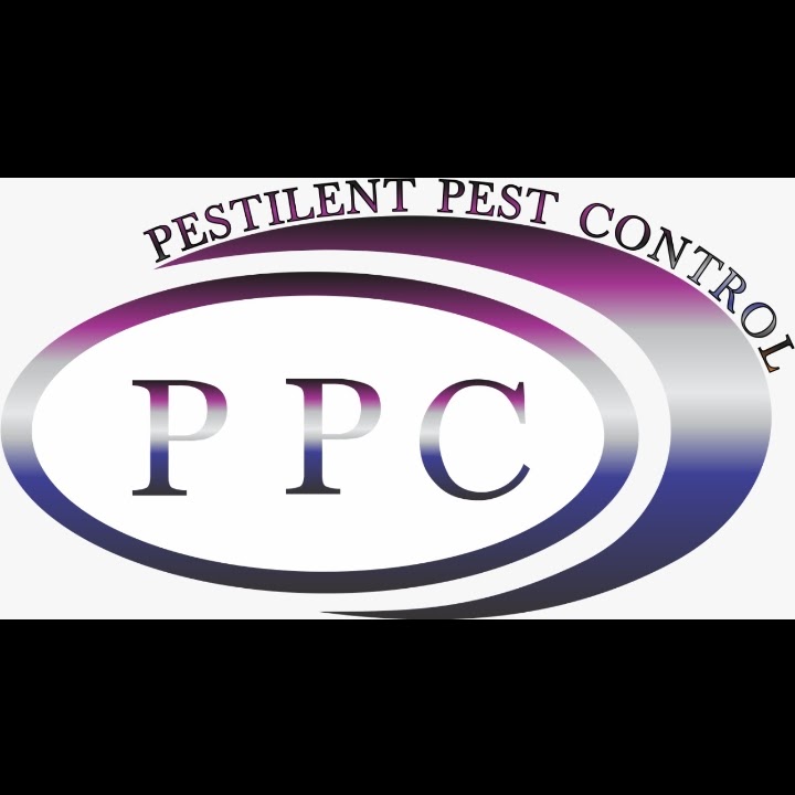 Pestlines