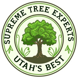 Supreme Tree Experts