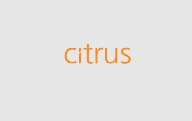 Citrus Leisure PLC