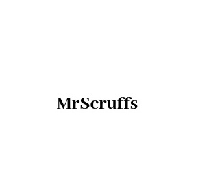 Mr Scruffs