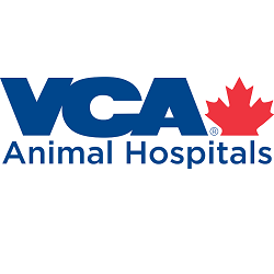 VCA Canada North Central Animal Hospital