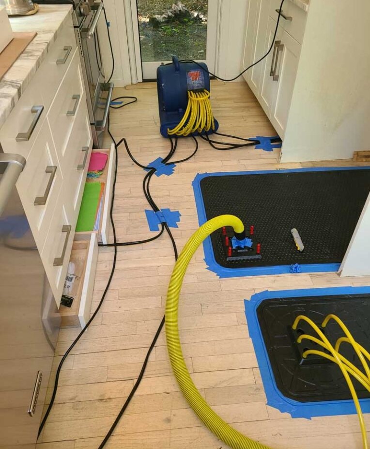 H20ProsWaterRestoration