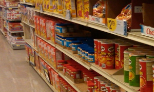 Target Pest Wellington