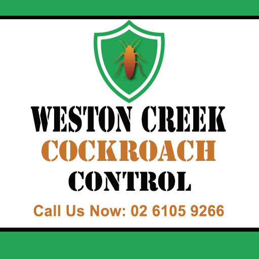 Weston Creek Cockroach Control