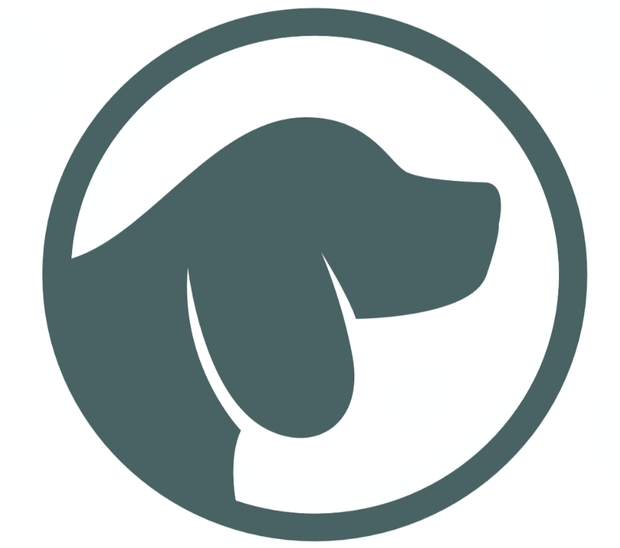 Wilmington Dog Surgery