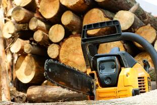 Elk Grove Tree Pros