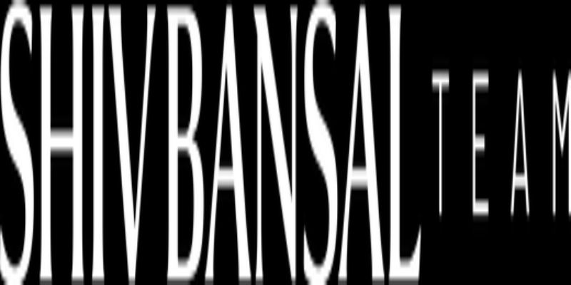 The Shiv Bansal Team