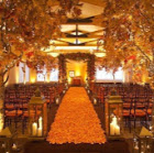 Hire Cherry Blossom Trees Wedding - Wow Rentals
