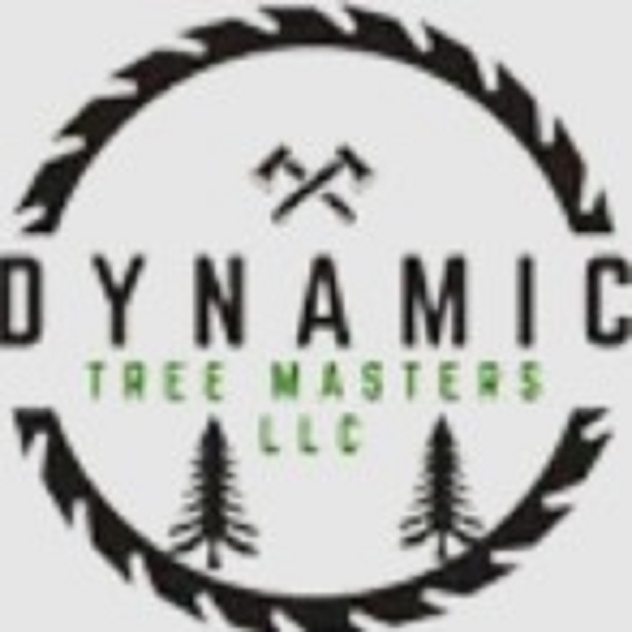Dynamic Tree Masters, LLC