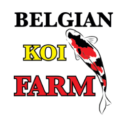 Belgian Koi Farm