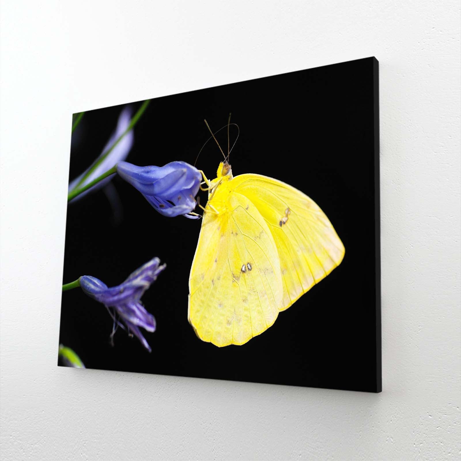 Large Wall Art