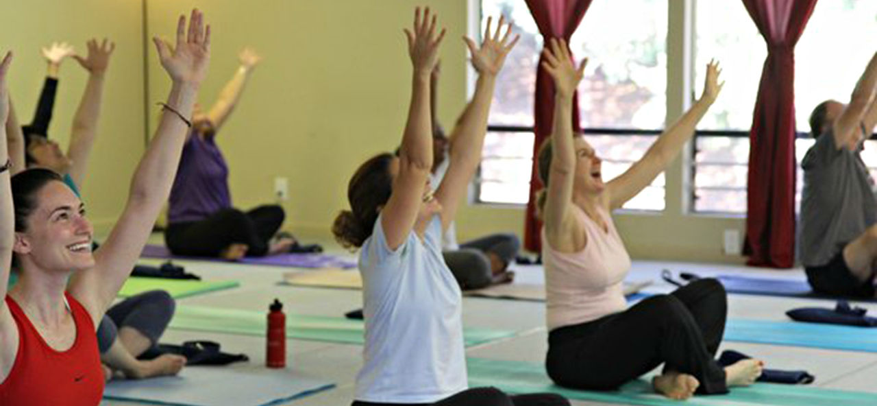 Wellness Haven Yoga
