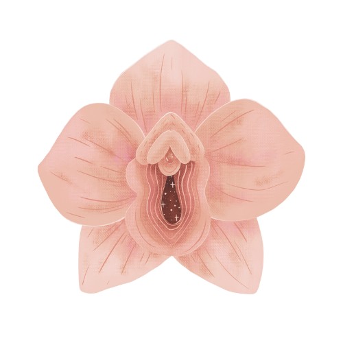 Yoni Massage Therapist