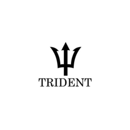 Yoobao Ltd T/A Trident Pumps: Your Go-To Source for Circulation Pump in Birmingham