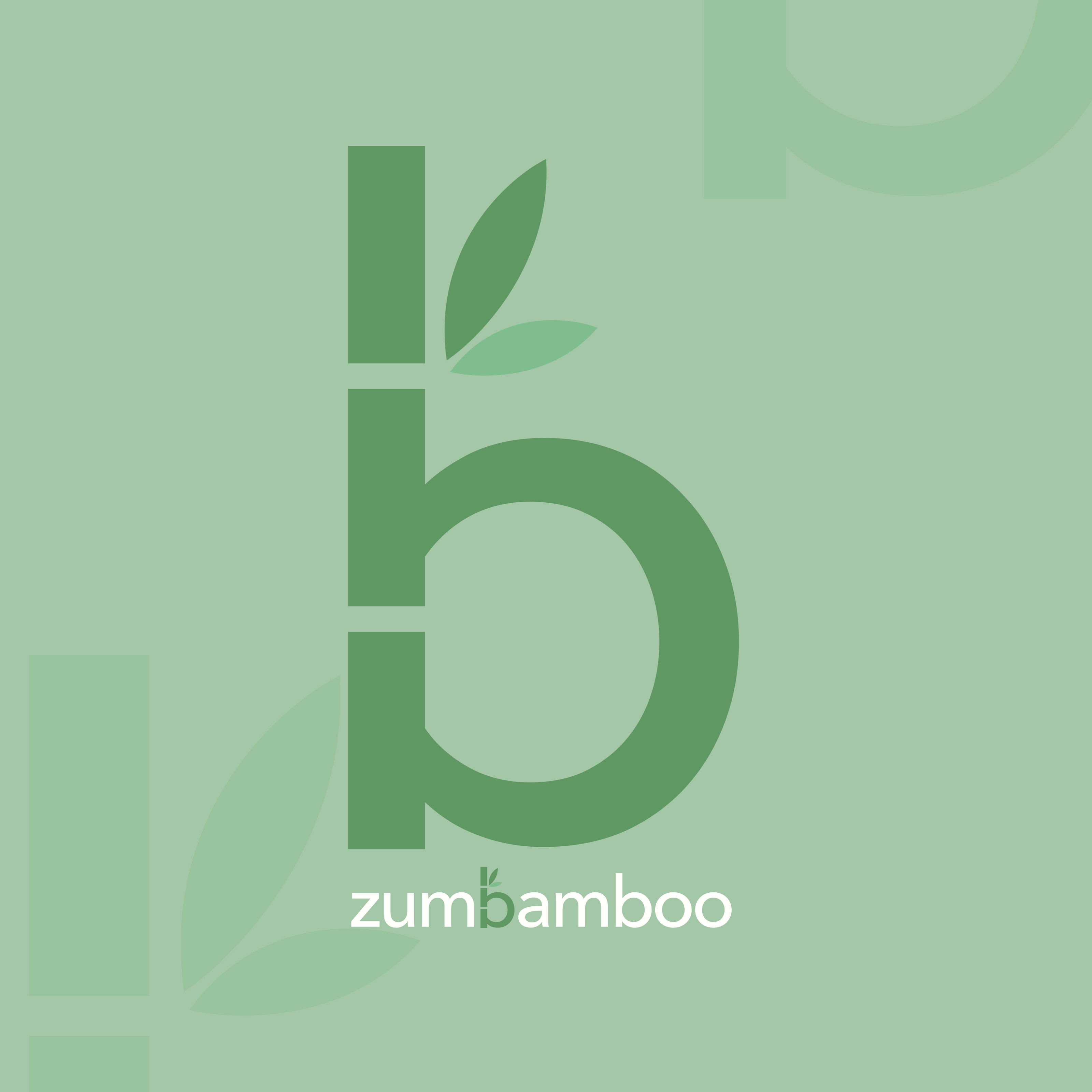 zumbamboo